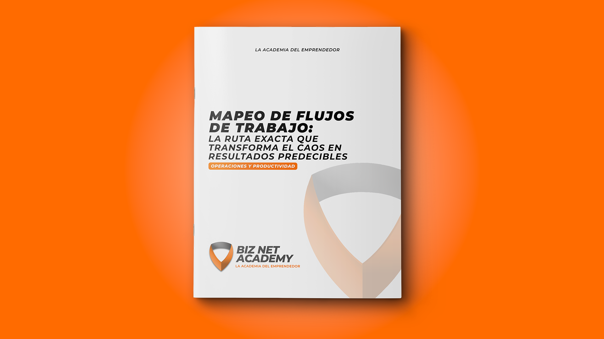 Biz Net Academy - Mapeo de Flujos de Trabajo